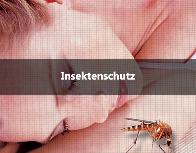 Insektenschutz
